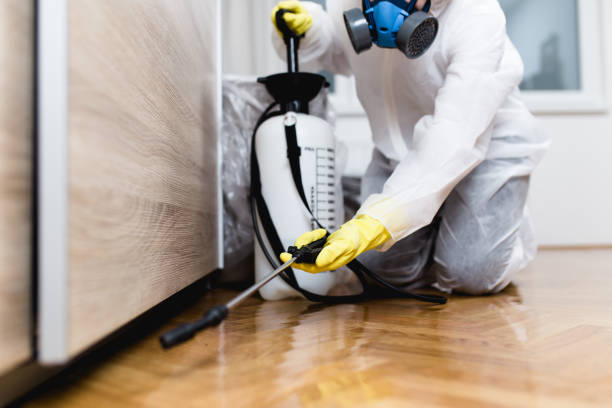 Reliable Gate City, VA Pest Control Solutions