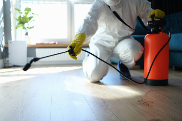 Wasp Removal Services in Gate City, VA