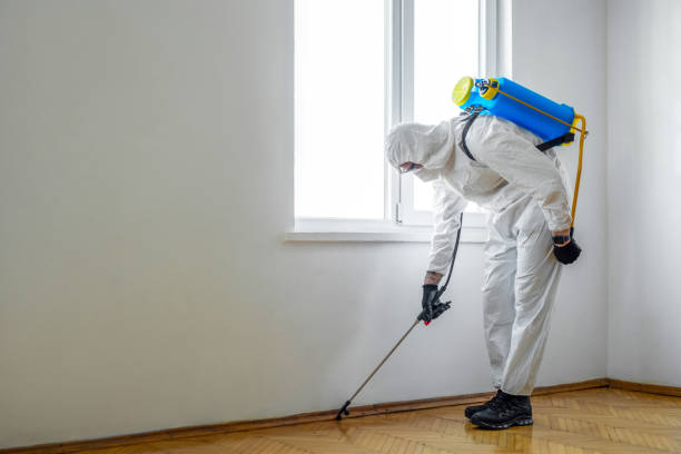 Pest Control Cost in Gate City, VA