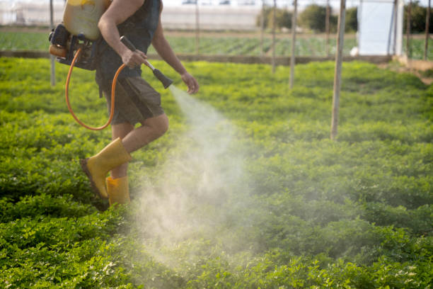 Best Pest Control for Restaurants  in Gate City, VA