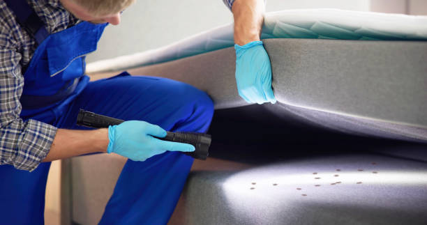 Best Mosquito Control Services  in Gate City, VA