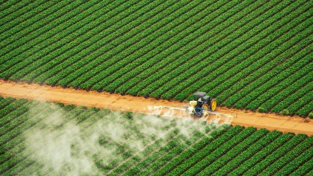 Best Commercial Pest Control Services  in Gate City, VA