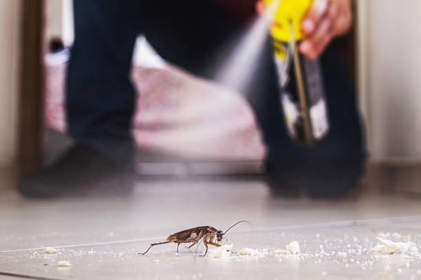 Best Residential Pest Control  in Gate City, VA