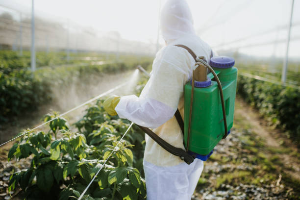Best Bed Bug Extermination  in Gate City, VA